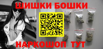 шишки Обь