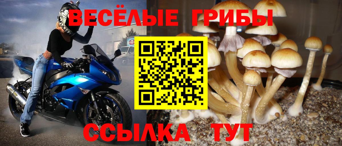 Галлюциногенные грибы GOLDEN TEACHER Сургут